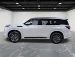 2026 INFINITI QX80 PURE