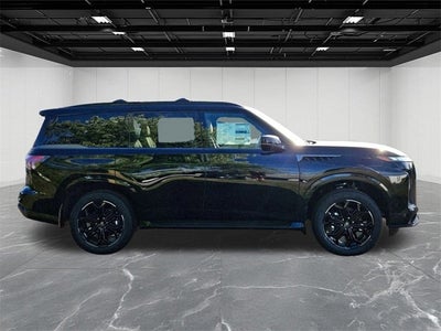 2026 INFINITI QX80 SPORT