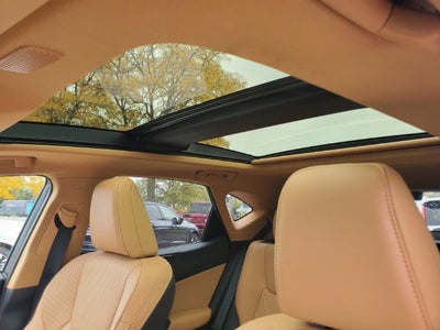 2025 Lexus NX 350h Luxury