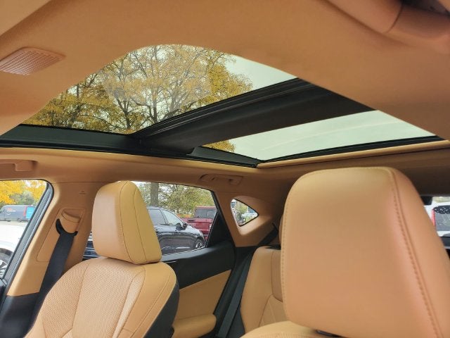 2025 Lexus NX 350h Luxury