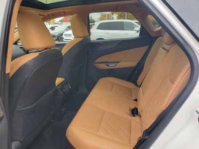 2025 Lexus NX 350h Luxury
