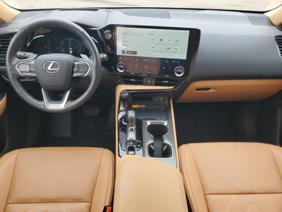 2025 Lexus NX 350h Luxury