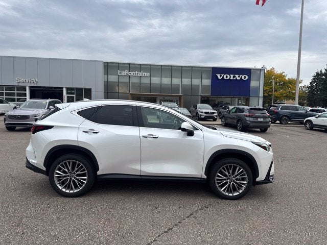 2025 Lexus NX 350h Luxury