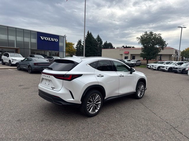 2025 Lexus NX 350h Luxury