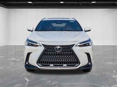 2024 Lexus NX 350 Premium