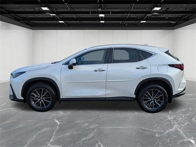 2024 Lexus NX 350 Premium
